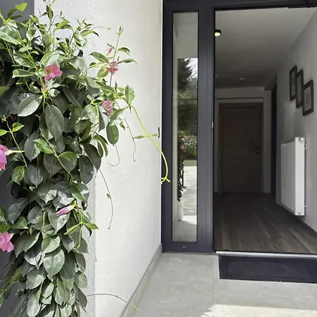 Typ A-1 By Interhome * Rosegg